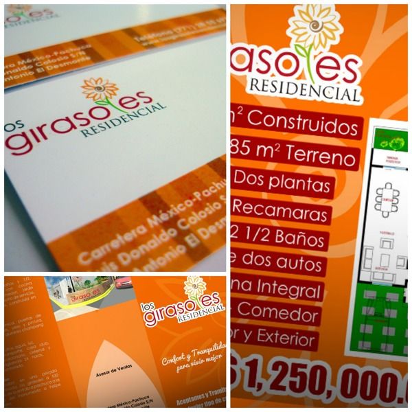 Girasoles 1