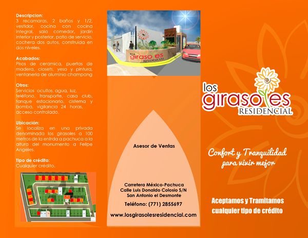 Girasoles 3