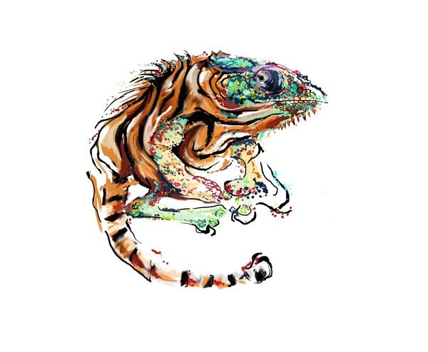 Animal -1
