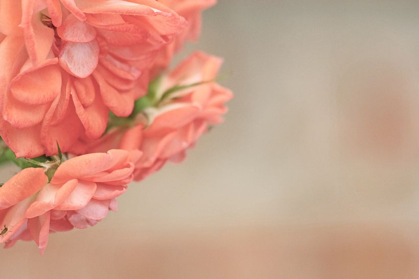 Fotografías COLORiiS 8