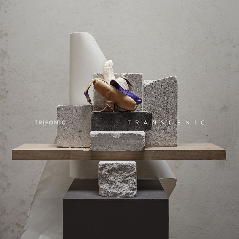 Mi Proyecto del curso Dirección de arte y composición de bodegón -1