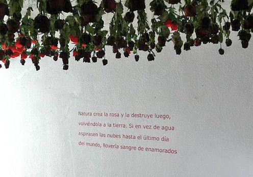Creadores de sueños 33