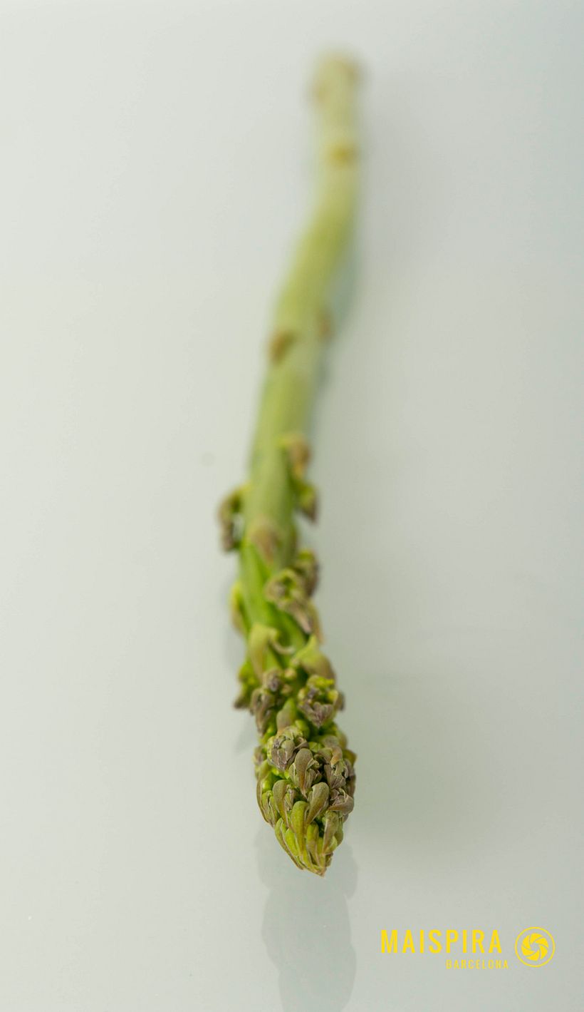 Ingredients - Fotografi