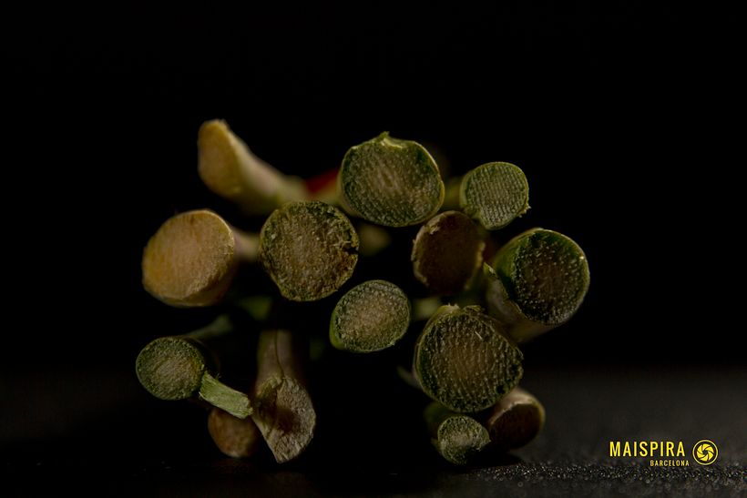 Ingredients - Fotografi