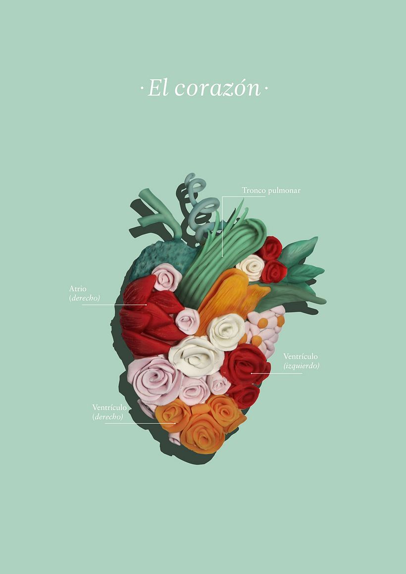 El corazón -1