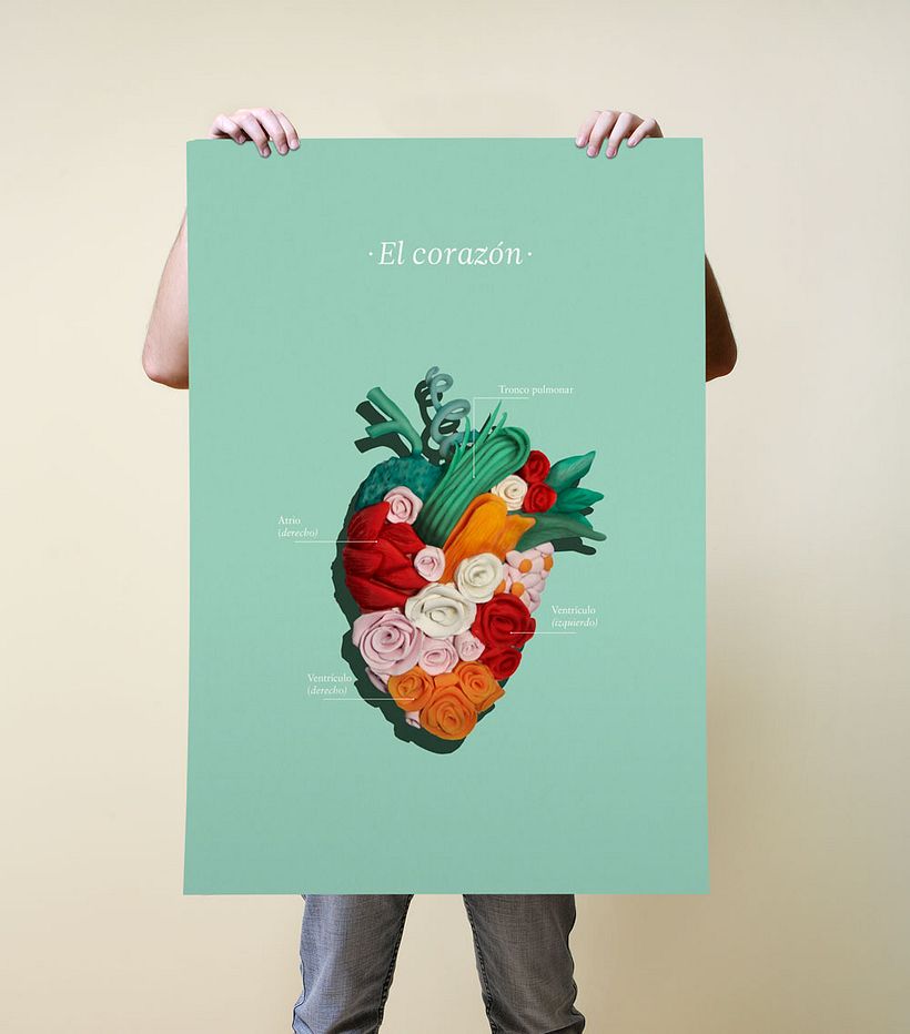 El corazón 0