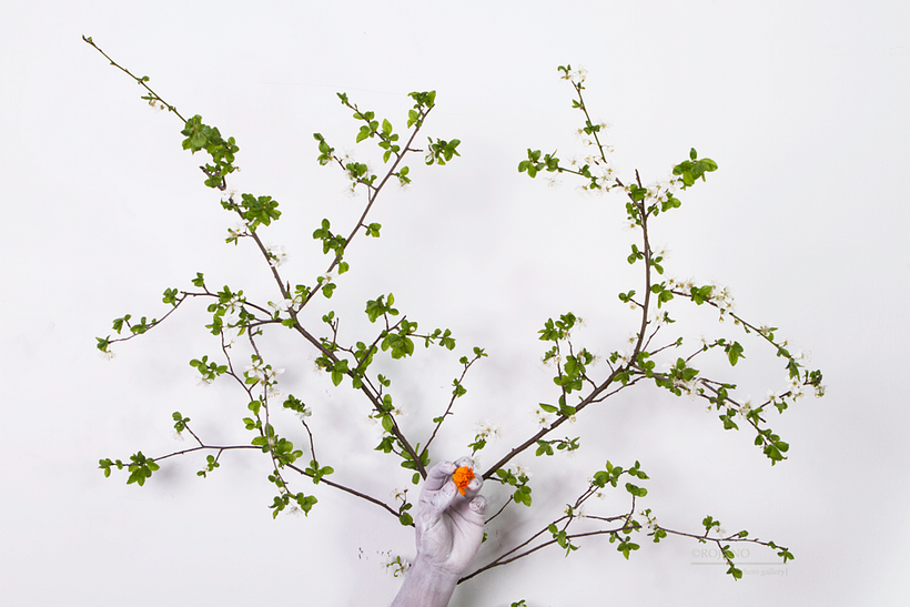 El nacimiento de la primavera 2