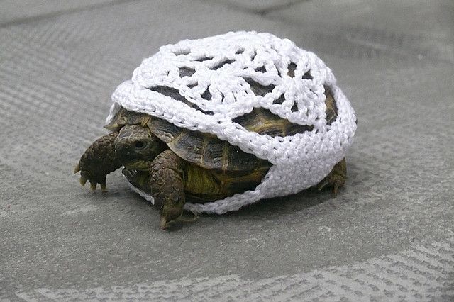 Tortuga ganchillo Arco 0