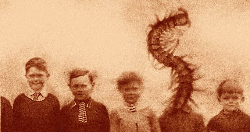 Ilustraciones de cubiertas para Tropo Editores  10