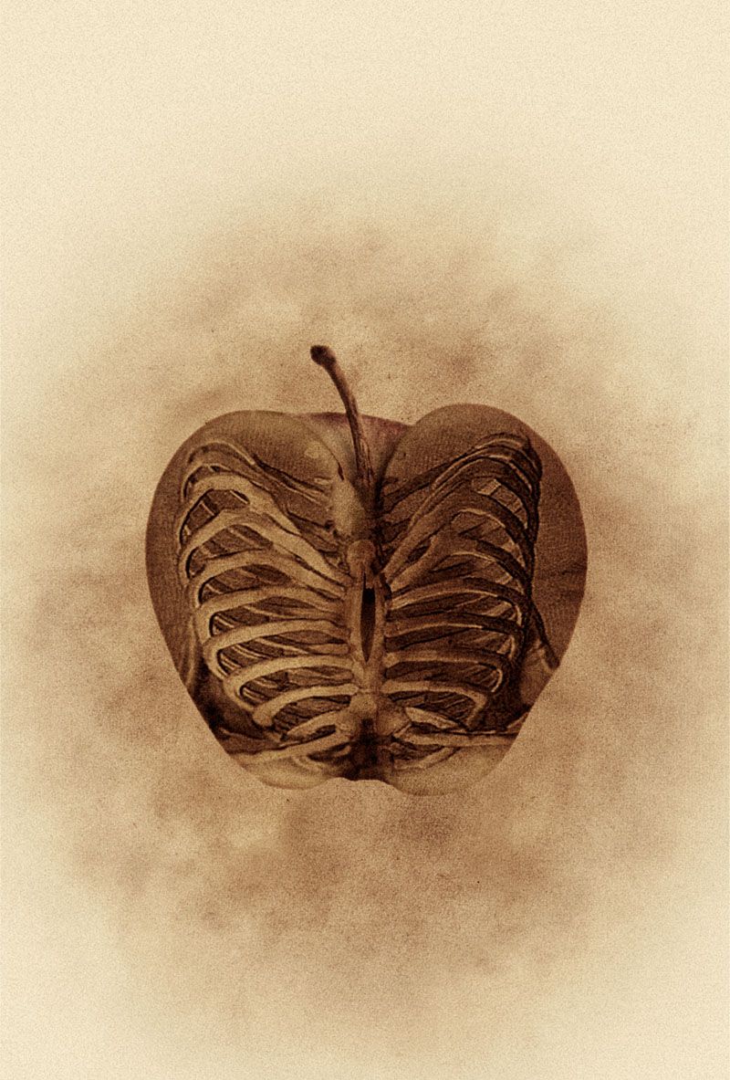 Ilustraciones de cubiertas para Tropo Editores  18