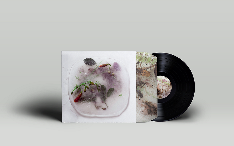 FAWN // Tom Waits // Dirección de arte y composición de bodegón 1