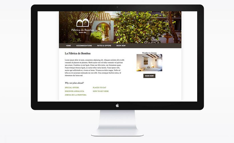 Web Design  (processing) 1
