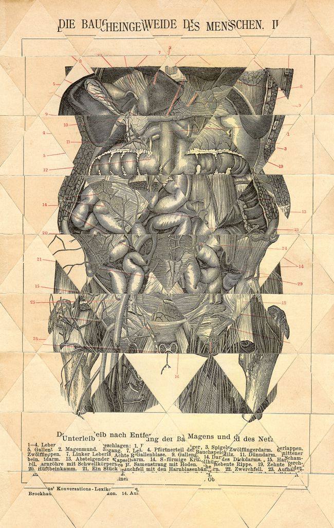 Collages (triángulos) 3