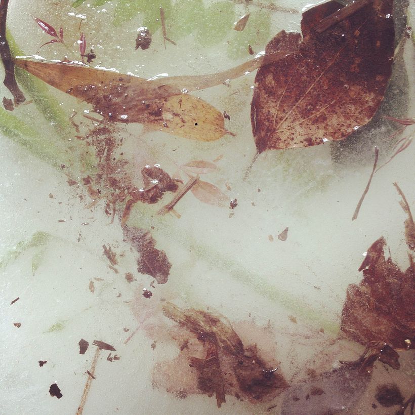 FAWN // Tom Waits // Dirección de arte y composición de bodegón 5