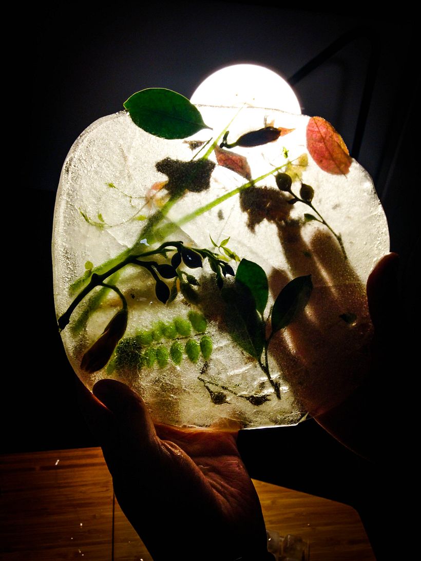 FAWN // Tom Waits // Dirección de arte y composición de bodegón 11