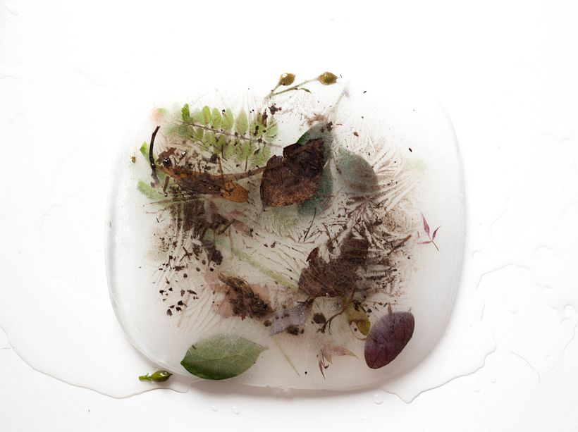 FAWN // Tom Waits // Dirección de arte y composición de bodegón 13