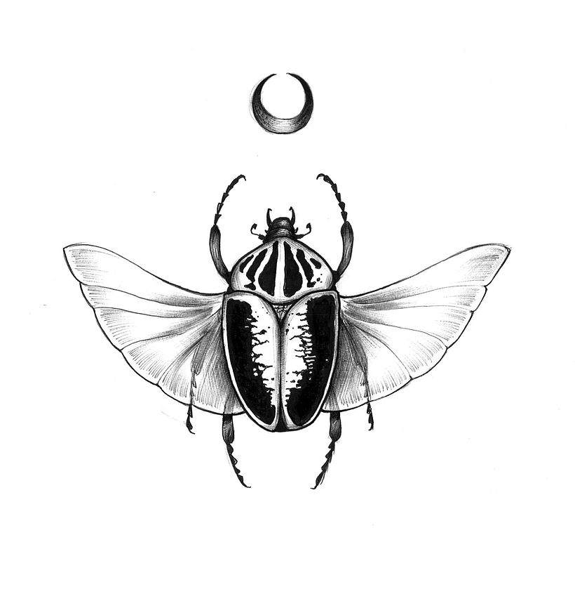 Tattoo deisgn - Traditional illustration