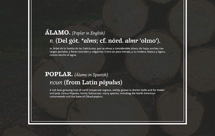 Álamo Branding & Interior 1