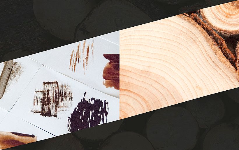 Álamo Branding & Interior 2