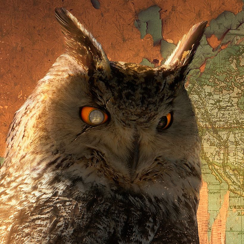 Rey Búho 1