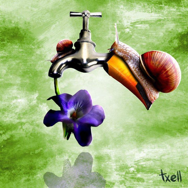 Ilustraciones 28