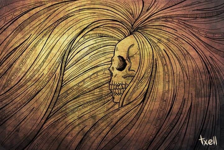 Ilustraciones 14