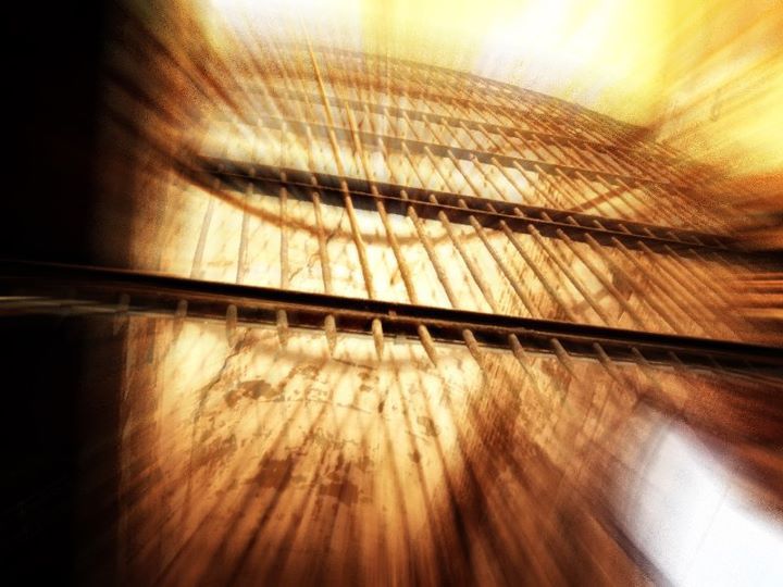 Varios diseños y collages. 38