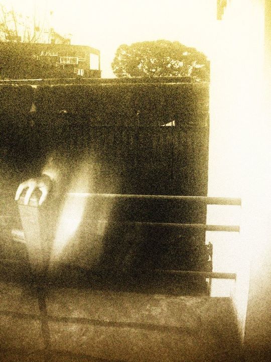 Varios diseños y collages. 42