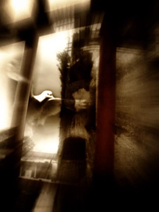 Varios diseños y collages. 43