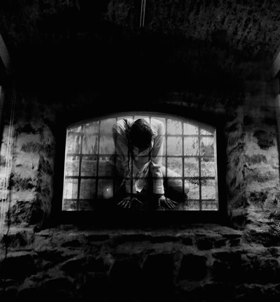 Varios diseños y collages. 44