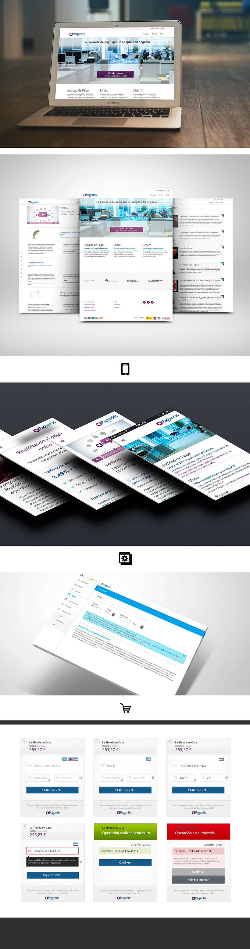 Web Corporativa Pagantis -1