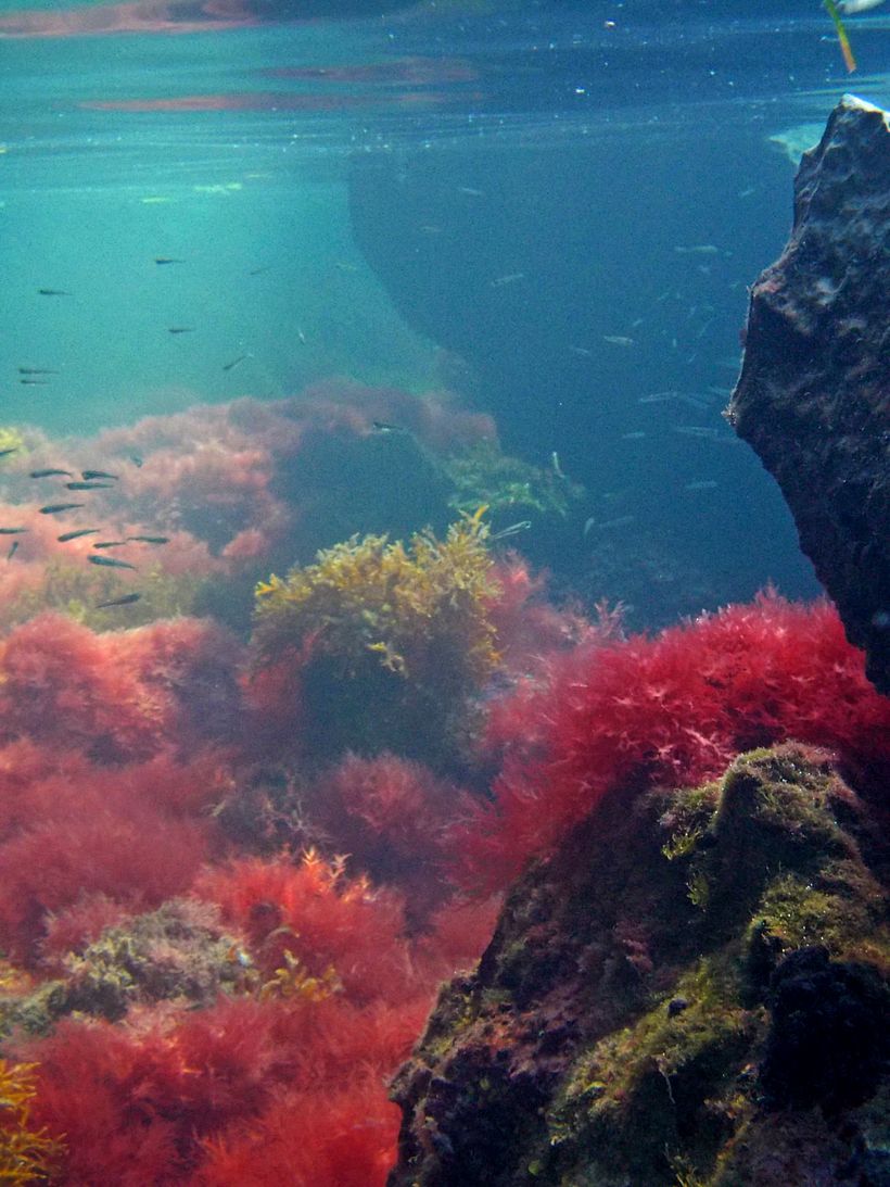this is underwater  0