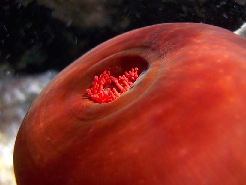 this is underwater  1