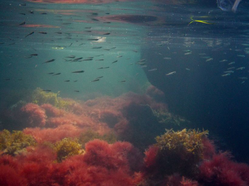 this is underwater  2