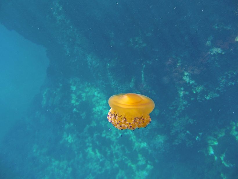 this is underwater  3