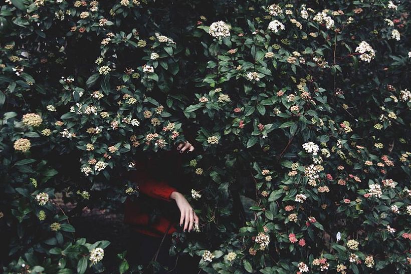 PHOTOGRAPHY / SELECTED WORKS 13
