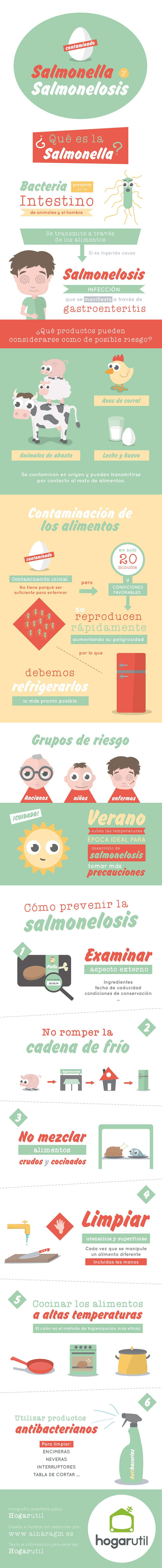 Infografía sobre la Salmonella (Hogarutil) - Geleneksel illüstrasyon