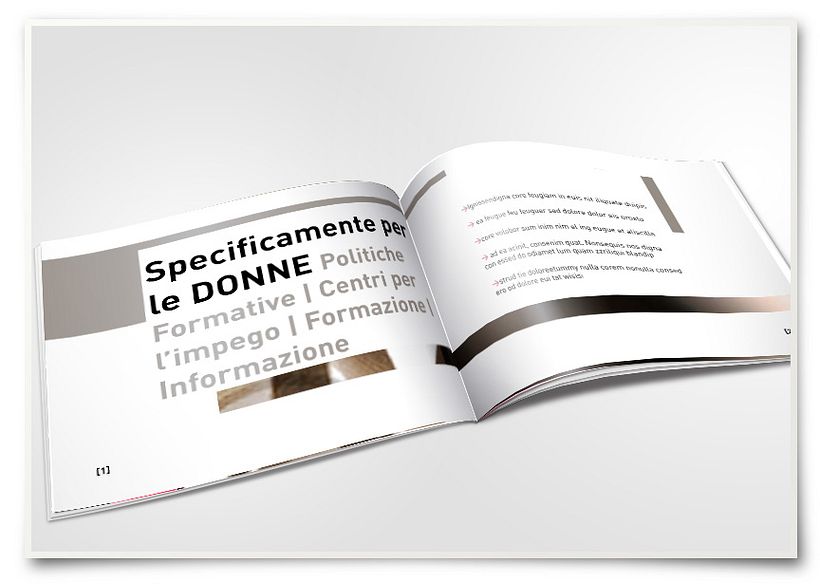 Institutional campaign 5