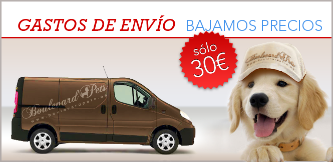 2014 eCommerce 18
