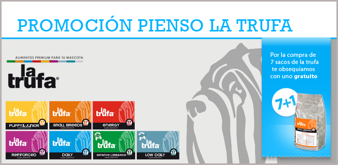 2014 eCommerce 19