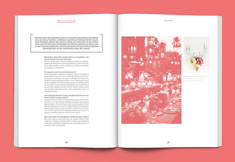 LOWEHOME MAGAZINE 12