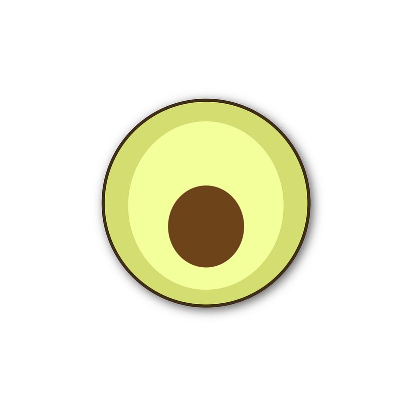 Fruits 10