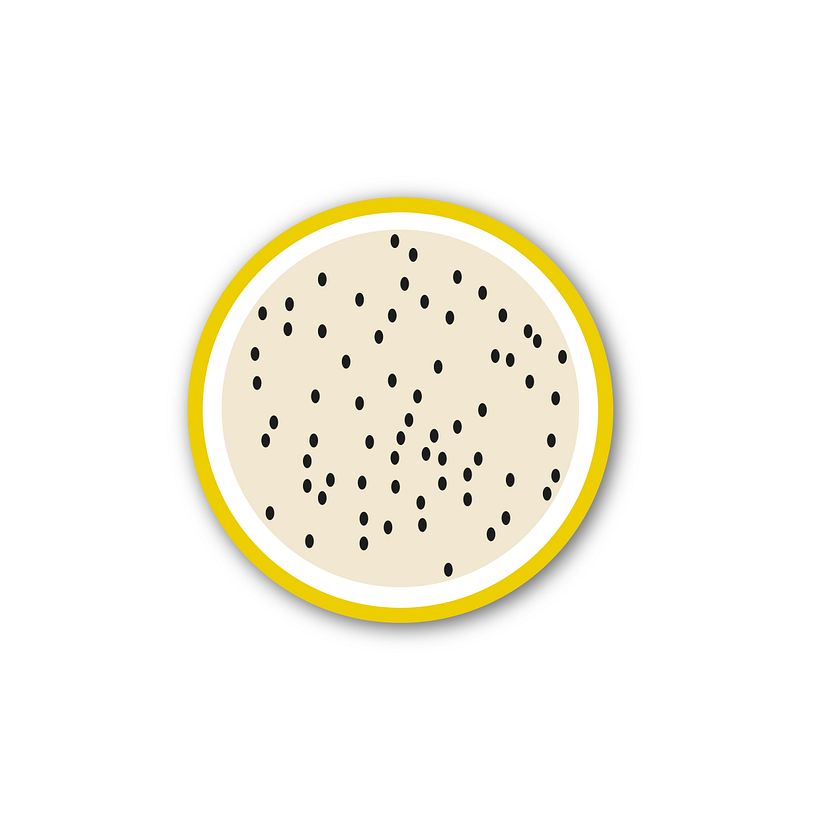 Fruits 12