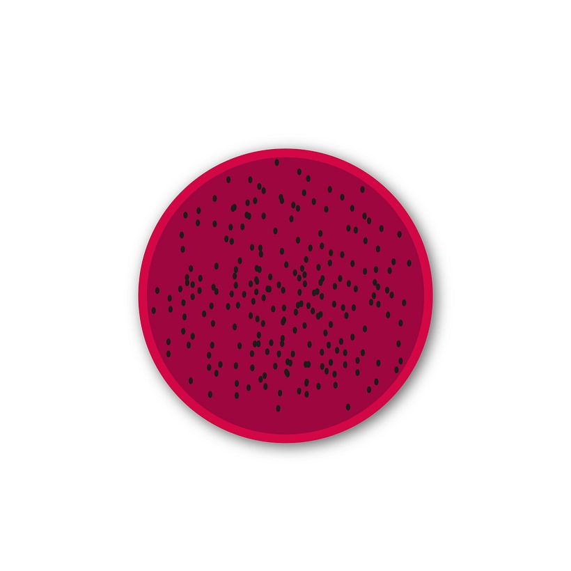 Fruits 14