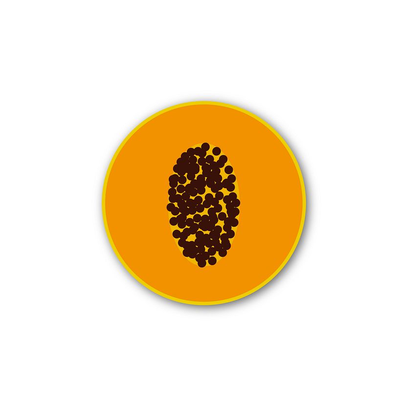 Fruits 16