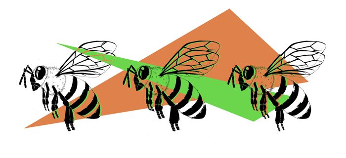 Abejas geometricas -1