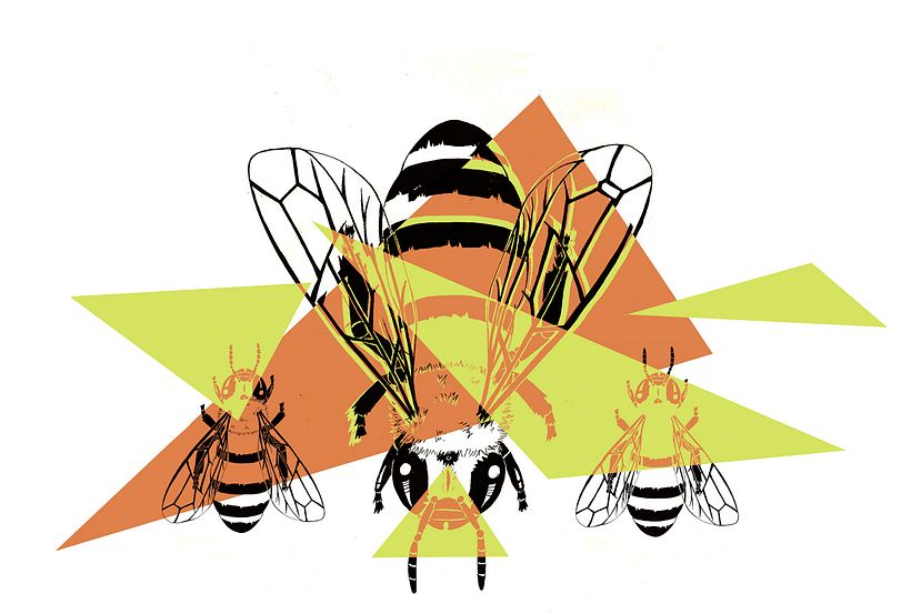 Abejas geometricas 1