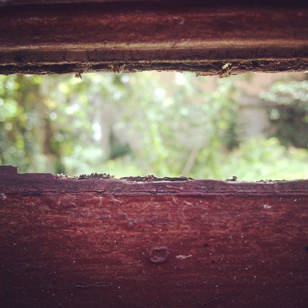 Brecha callejera! -1