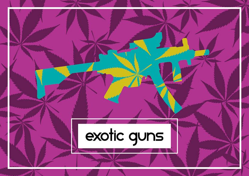 Exotic Guns 3