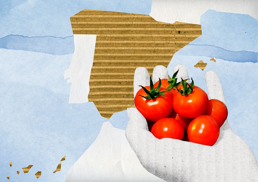 Alimentos españoles para la exportación. 10